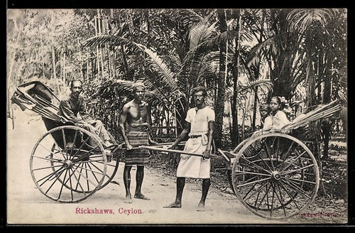 Carte postale ceylan - postale,