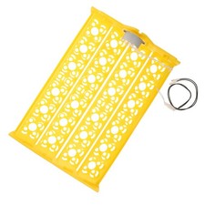 Couveuse Incubateur Oeufs