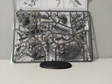 Griffarque sur ronge bete