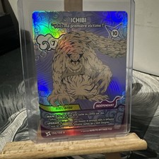 Ichibi Alternative 130/130 1er