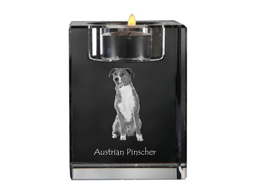 Pinscher autrichien bougeoir - autrichien,