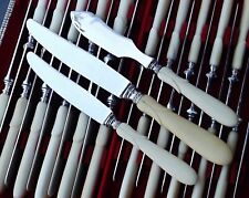 TABLE KNIFE HOUSE 25 PIECES BONE HANDLES STAINLESS STEEL BLADES 19TH CENTURY
