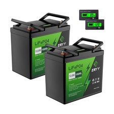 ERYY 12V 100Ah LiFePO4 Battery