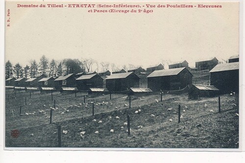 Etretat domaine du tilleul - :,