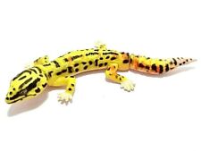 Japan KAIYODO Cute Yellow Leopard Gecko Lizard Animal Realistic Miniature Figure
