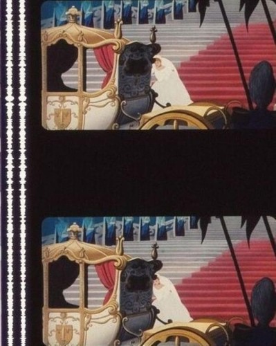 Film cendrillon 5 cadres - film,