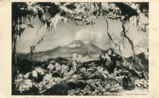 ETATS UNIS NEW YORK Central Park Musée Histoire Naturelle Mountain Gorilla Group