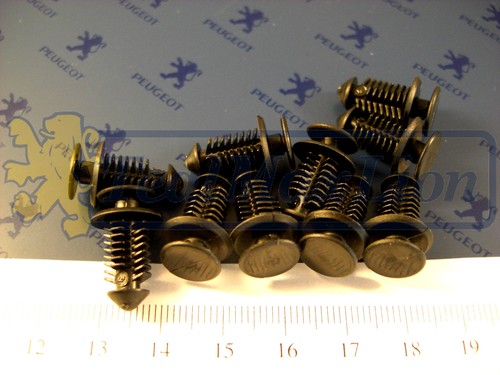 Jeu agrafes de fixation - 10,