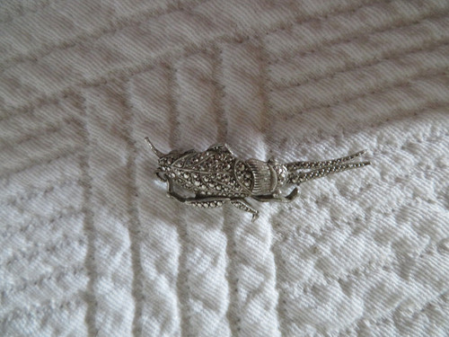 Ancienne broche vitage grillon - broche,