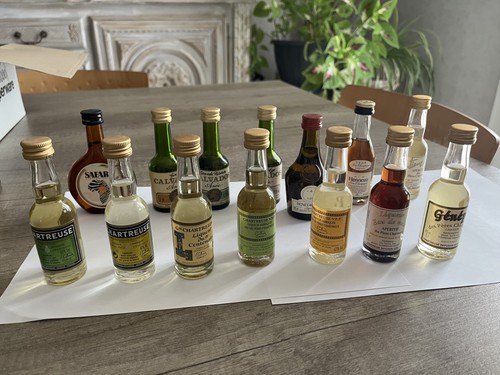 Lot miniatures bouteilles - lot,