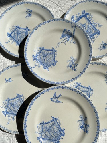 Assiettes dessert oiseaux - assiettes,