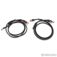 AudioQuest Rocket 88 Bi-Wire Speaker Cables; 9ft Pair