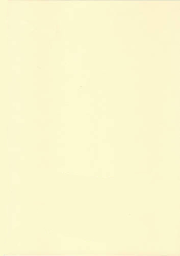 Crème ivoire couleur 80gsm - ivoire,