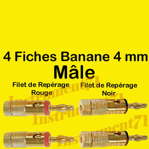 Fiches banane mâle - fiches,