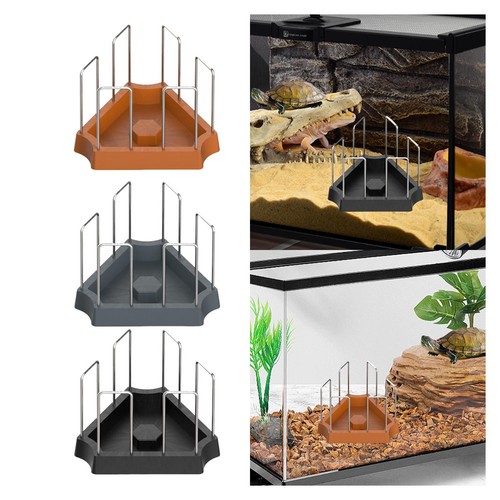 Mangeoire pour tortues