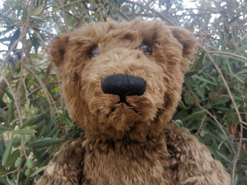 Ours ancien steiff - ours,