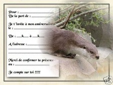 5 ou 12 cartes invitation