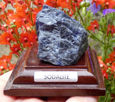 Sodalite on base 3.5x3cm minerals collection stone lithotherapy blue care