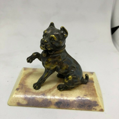 Bronze pug bone base - bronze, on