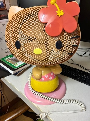 Sanrio hello kitty crip - kitty, &