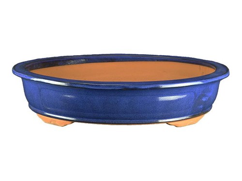 Pot bonsaï ovale - à, en