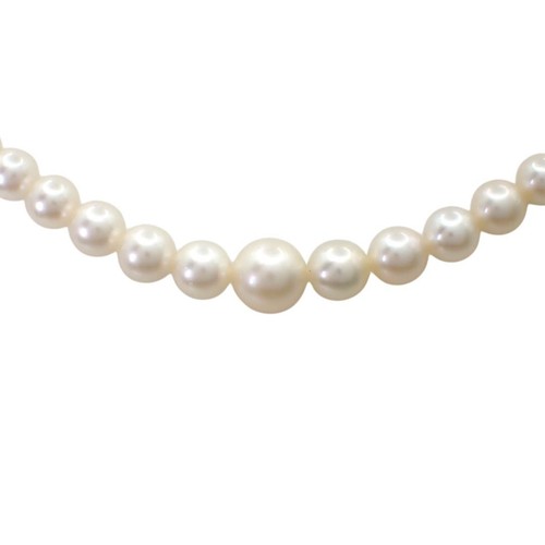 Mikimoto akoya pearl necklace - akoya,