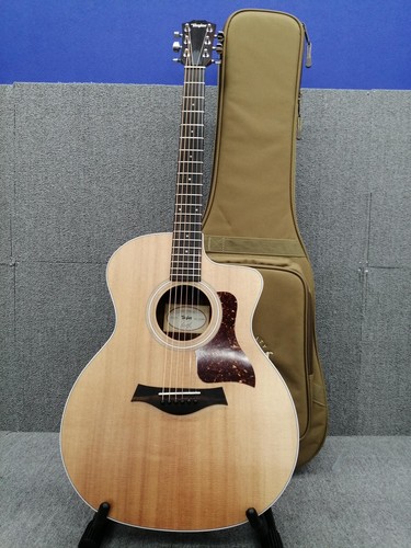 Guitare électrique acoustique