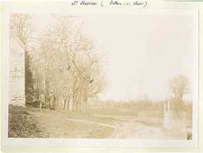 France, Selles sur Cher (Loir et Cher). St Eustice Vintage Citrate Print.  Ti