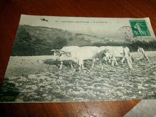 Ancienne carte postale les - ancienne,