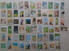 TINTIN LOT DE 64 VIGNETTES