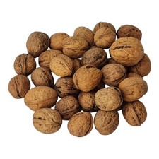 Noix en coque 20 kg récolte