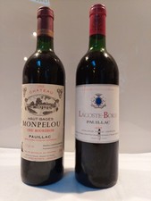 Lot de 2 bouteilles Pauillac