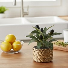 Petite plante artificielle