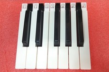 Spare Keys for Roland D70 D-70, JD800 JD-800, KR55 KR-55, U20 U-20 Synths
