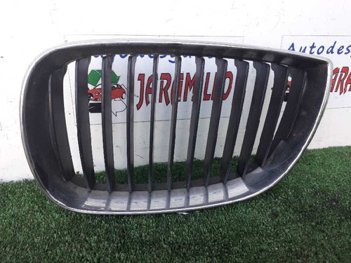 511370771299 grille gauche