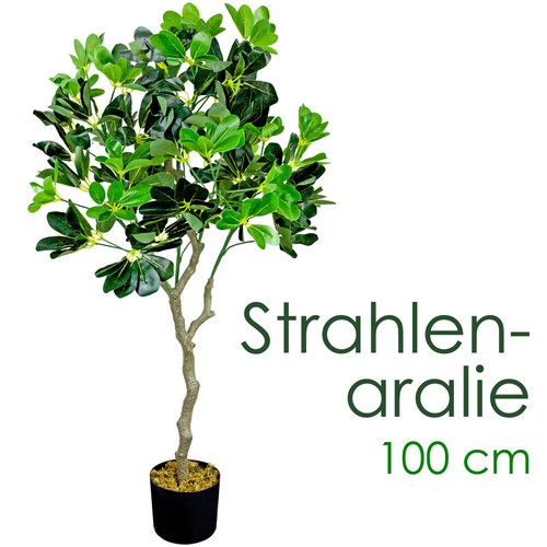 Plante artificielle schefflera - plante,