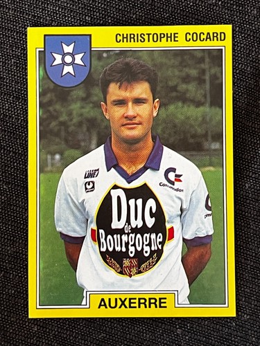 Vignette sticker panini foot - vignette,