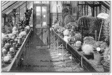 Belgium - East FLANDERS - GHENT - Floralie 1913 greenhouse of succulents
