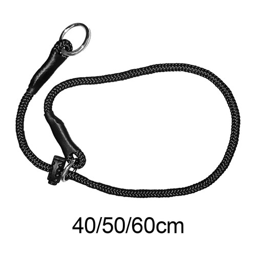 Collier dressage pour chien - dressage,
