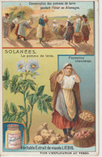 Chromo liebig Solanees, the potato.