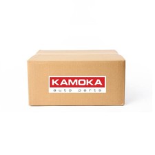 Pompe à eau T0321 KAMOKA pour