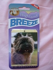 Désodorisant voiture à