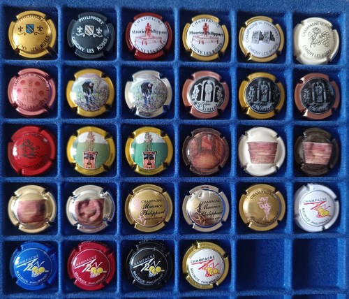 Capsules champagne m - capsules,