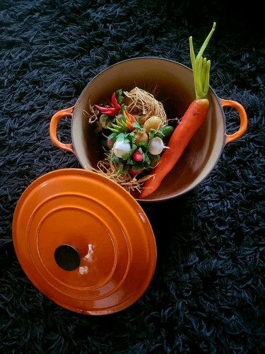 Cocotte ronde fonte - fonte, le