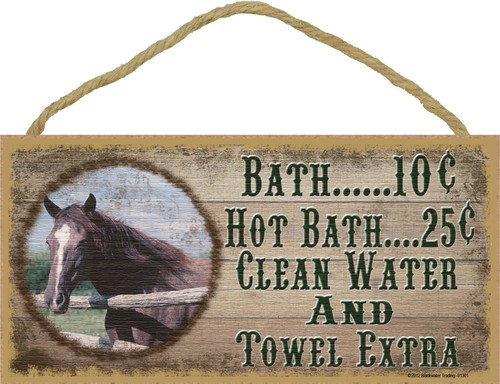 Western horse bath - bath, water