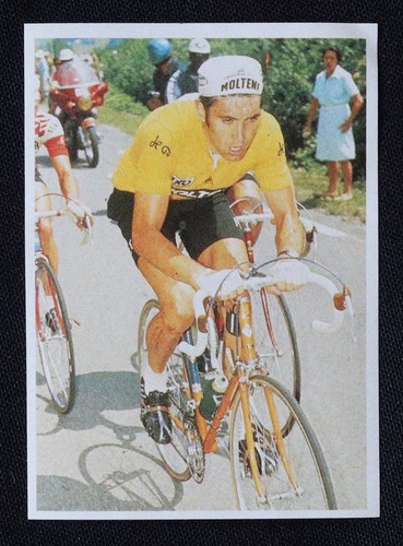 Eddy merckx poulain série - /,