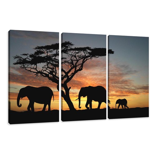 Images sur toile 160 cm - 160, x