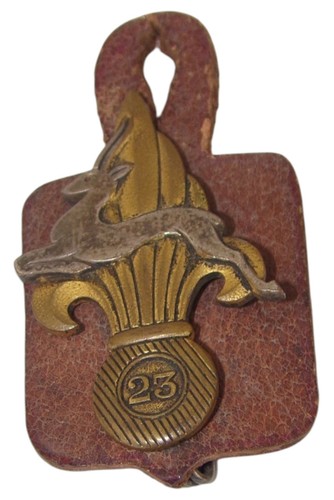 Insigne pucelle 23ème