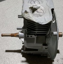 Briggs and Stratton Short