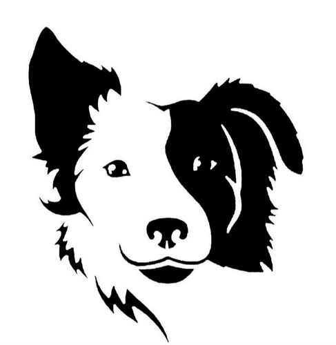 Border collie black vinyl - collie,
